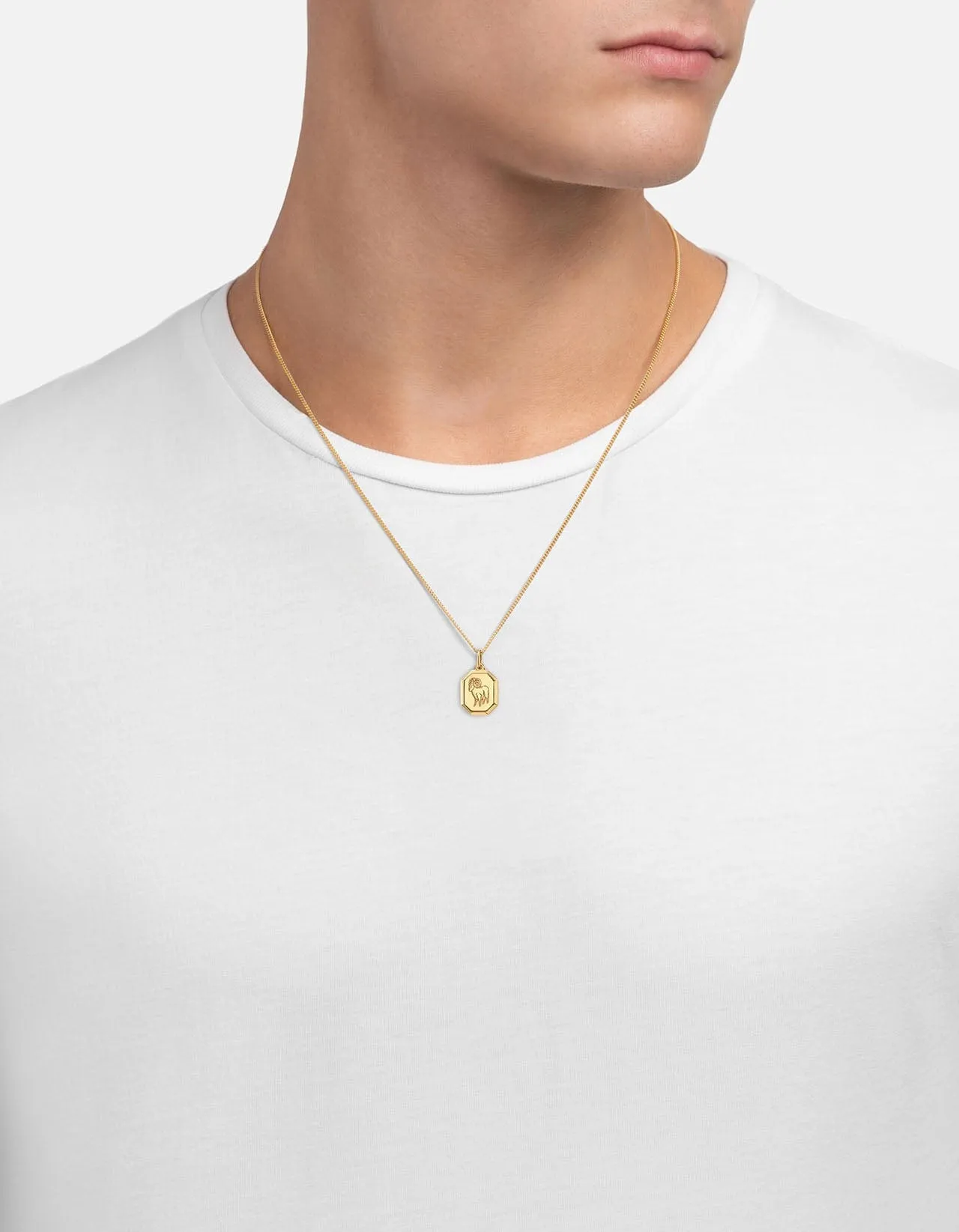 Aries Nyle Necklace, Gold Vermeil